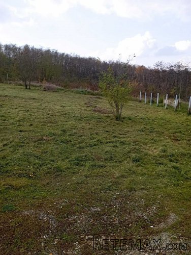 Prodajem plac u Beogradu-Miljakovacke staze - 4