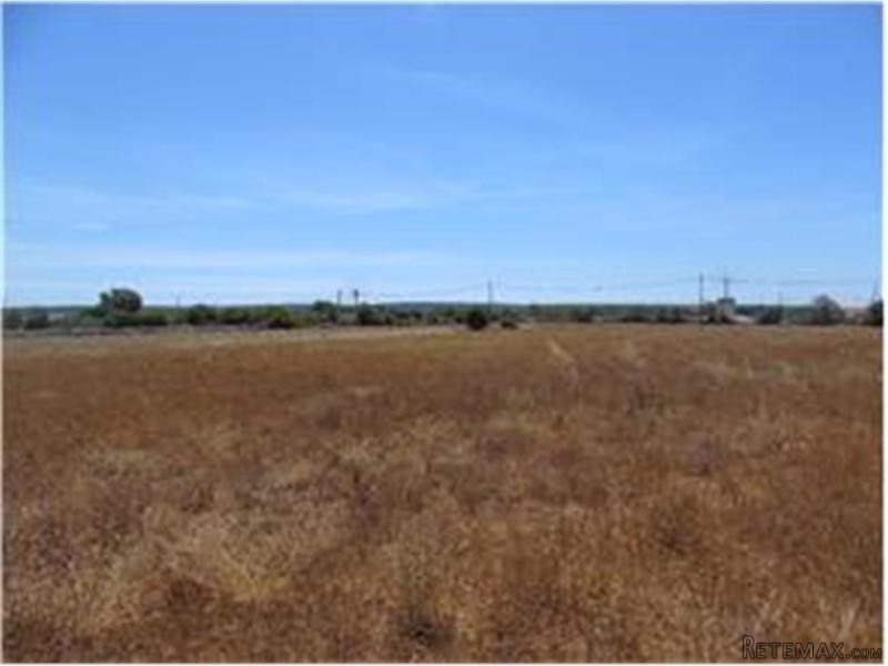 Land For Sale In Ses Salines