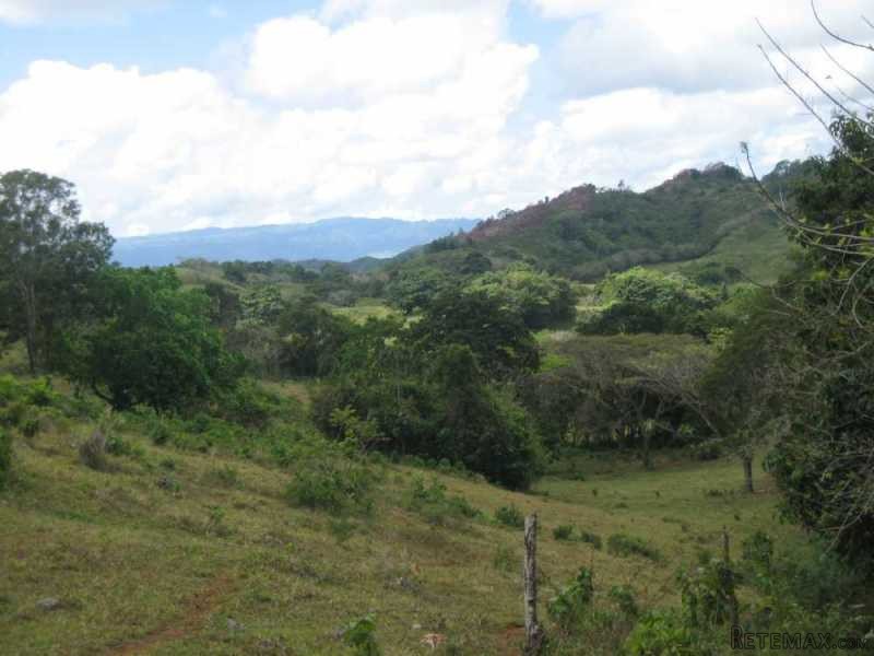 Ideal Cattle Farm For Sale On The Hills..