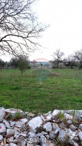 Istra, Peroj atraktivno građevinsko zemljište,650m od mora - 5