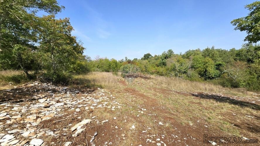 Istra, Buje okolica, negrađevinsko zemljište 16 170 m2