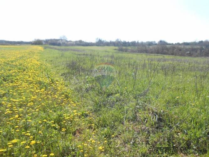 Istra, Svetvinčenat,Građevinsko zemljište mješovito... - 4