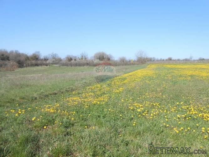 Istra, Svetvinčenat,Građevinsko zemljište mješovito... - 5
