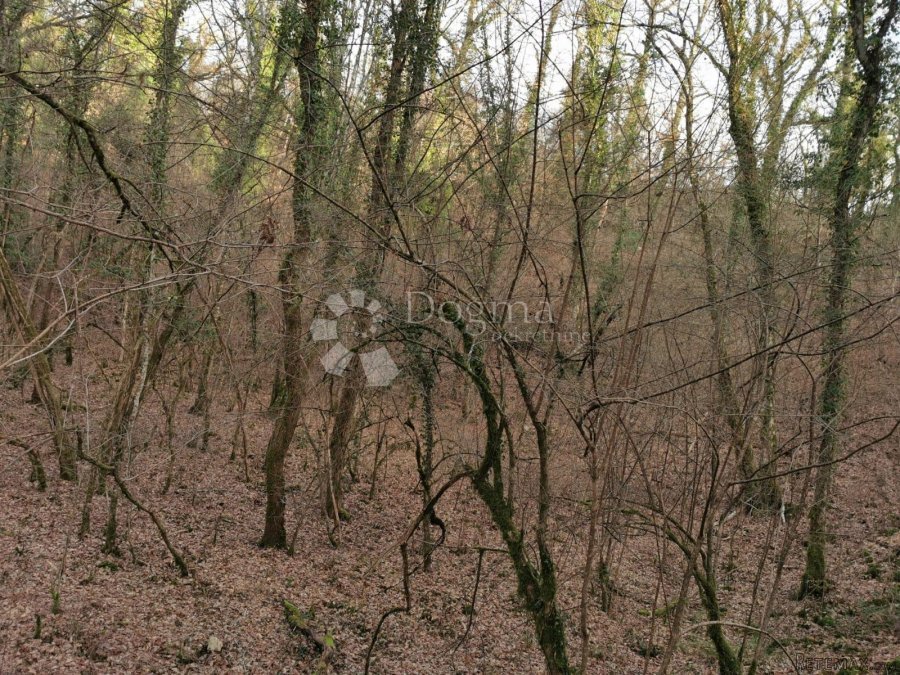 Veliko poljoprivredno zemljište u okolici Cera - 5