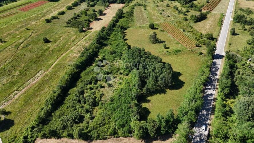 Prostrano kombinirano zemljište Prodol 6.370m2