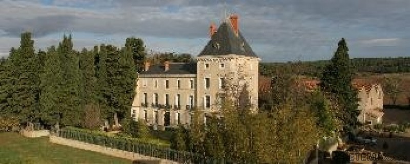19th Century Castle Of 1000 M2 With.. - 2