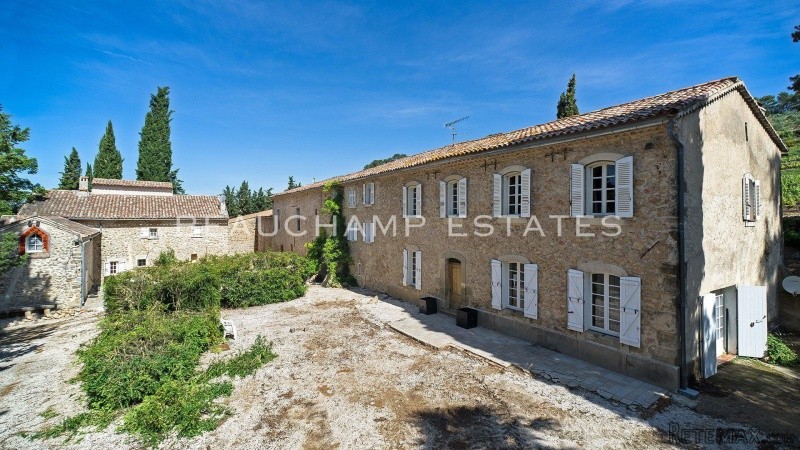 Beautiful large wine estate Provence
