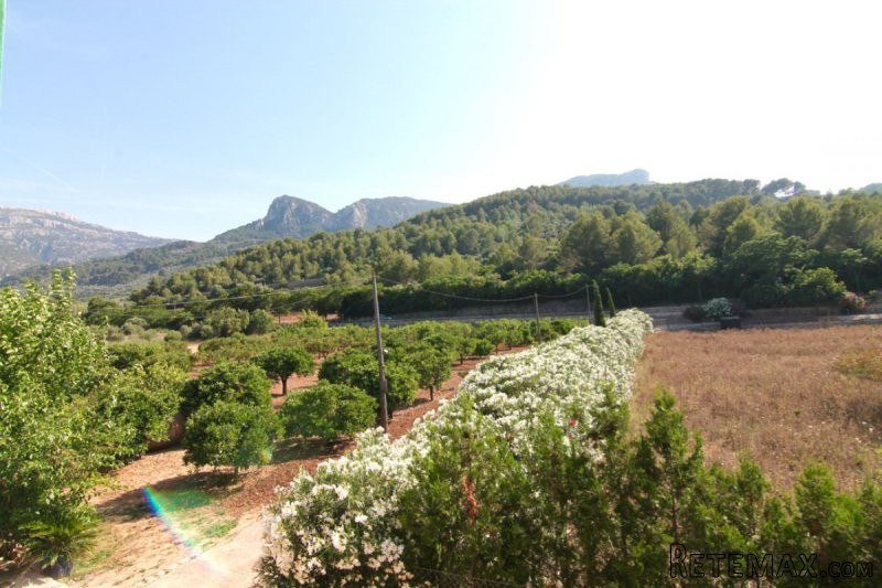 Very charming finca in need of reform.. - 2