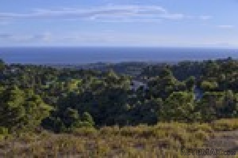 - Property - Malaga - For Sale - 2