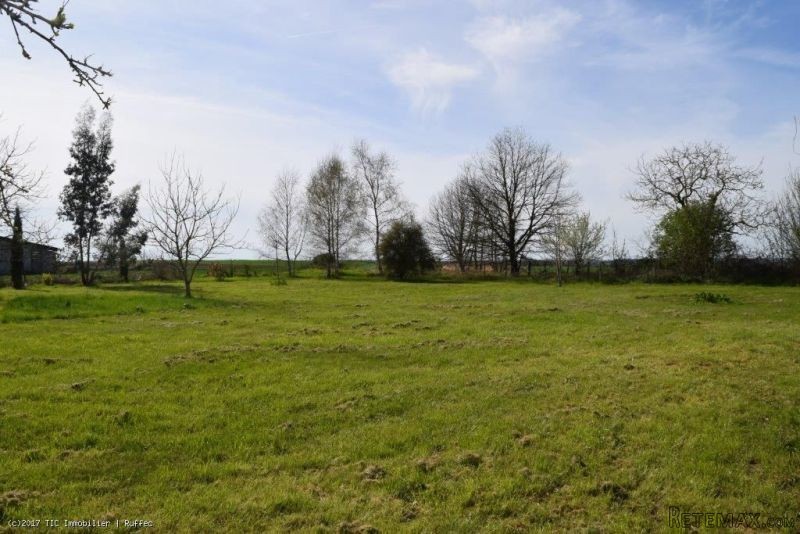 Attractive 4 Bedroom Country House On.. - 2