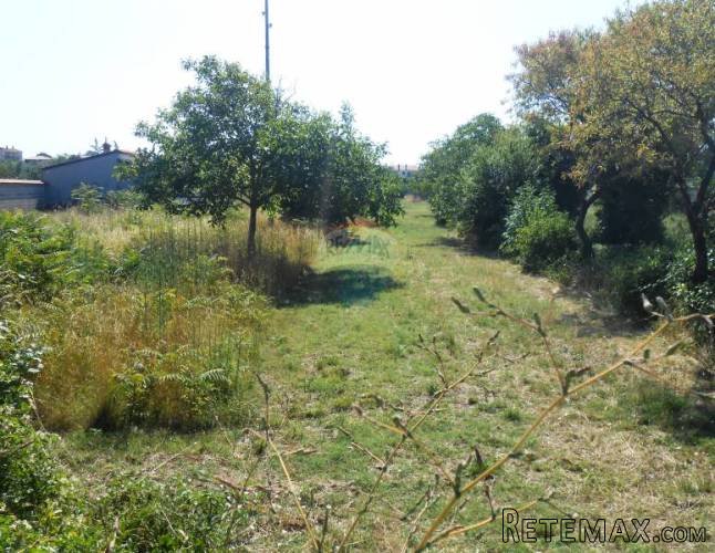 Istra, Vodnjan, građevinsko zemljište na poželjnoj lokaciji - 3
