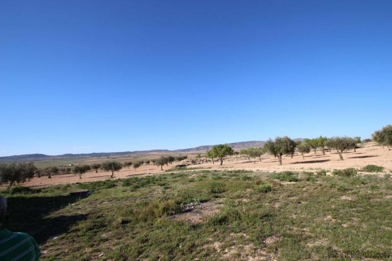 Legal building plot in Torre del Rico..