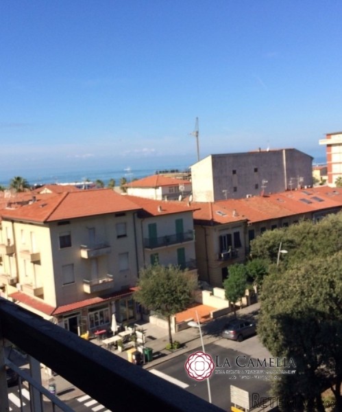 For Sale Apartment Camaiore - 2