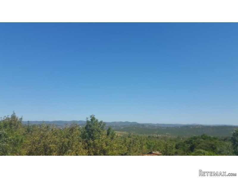 Large Rustic Plot With Working Alfaroba.. - 2