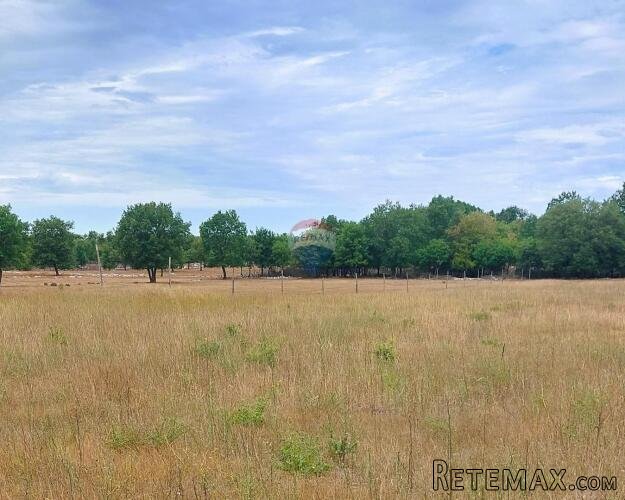 Poreč, okolica, lijepo poljoprivredno zemljište veličine 481 - 2