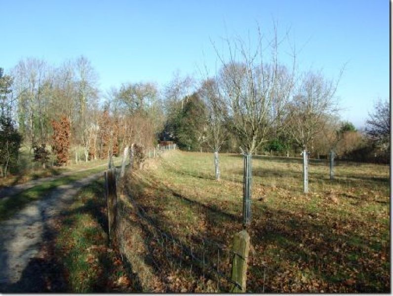 Ideal Equestrian Property - 2