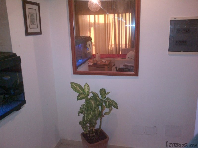 Charmant appartement S+1 - 2