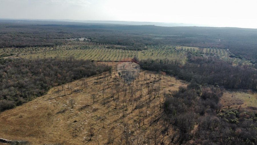 BALE - Prelijepo poljoprivredno zemljište 22821m2 - 2