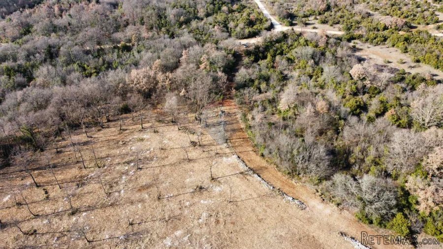 BALE - Prelijepo poljoprivredno zemljište 22821m2 - 3