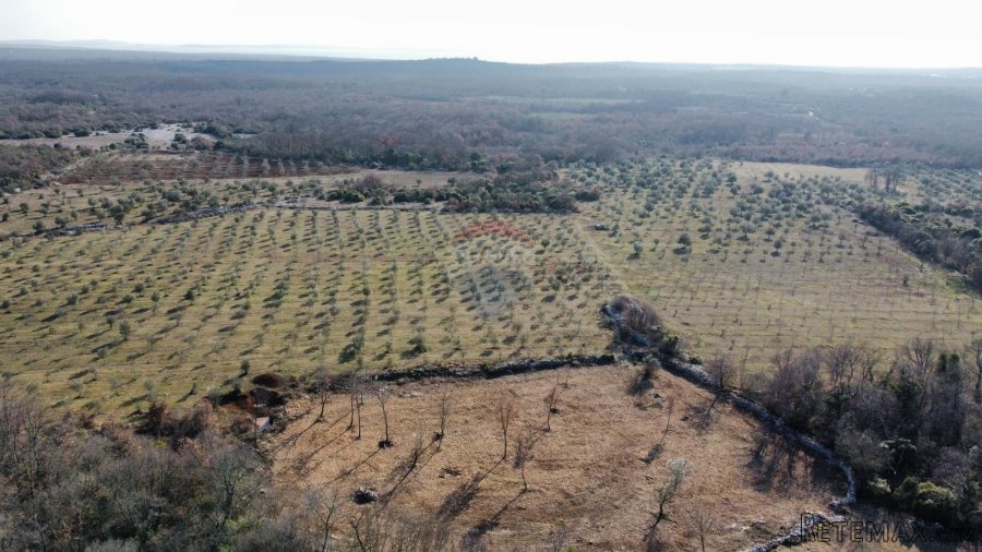 BALE - Prelijepo poljoprivredno zemljište 22821m2 - 4