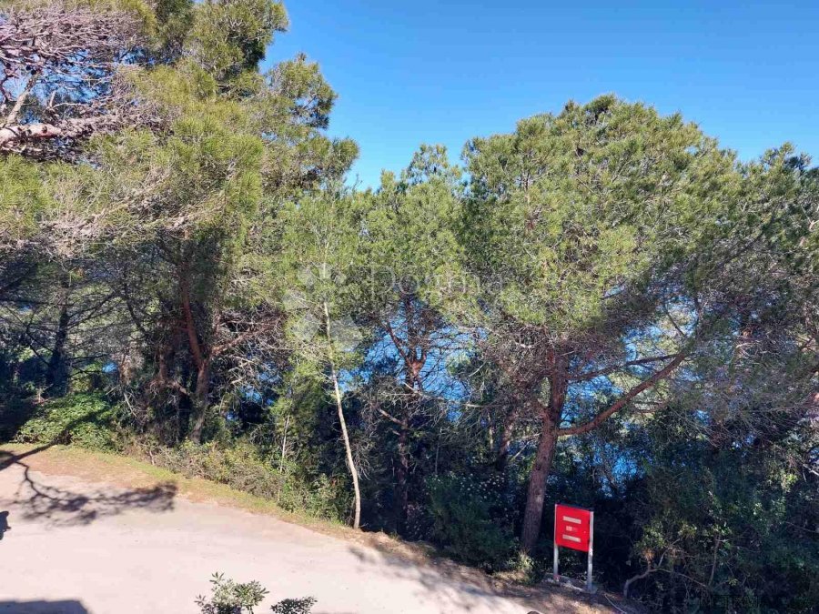 DALMACIJA, 43.70 M2, 1S+DB - 10