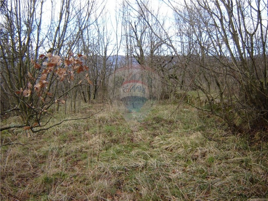 Viškovo (Kosi) - građevinski teren - pogled na more - 6