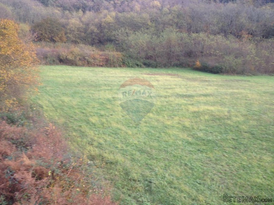 Kanfanar,Vidulini-lijepo poljoprivredno zemljište-13270m2 - 2