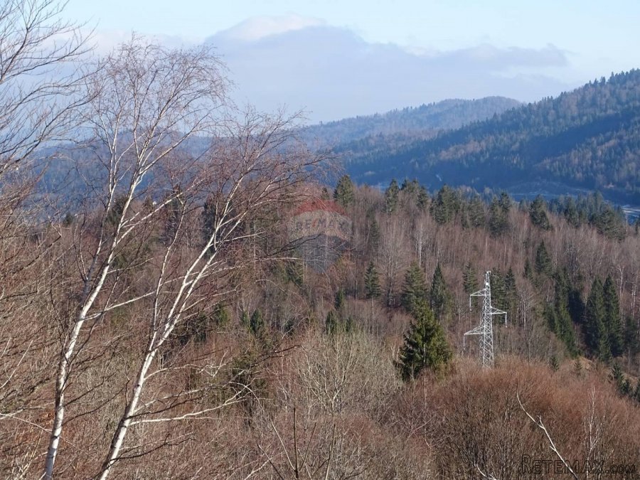 Ravna Gora-teren - 2