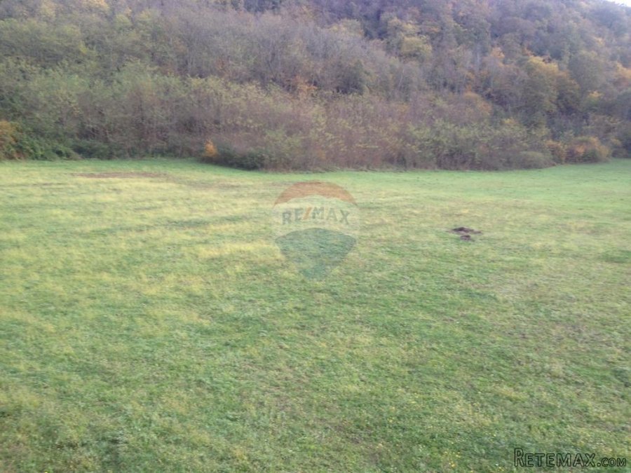 Kanfanar,Vidulini-lijepo poljoprivredno zemljište-13270m2 - 3