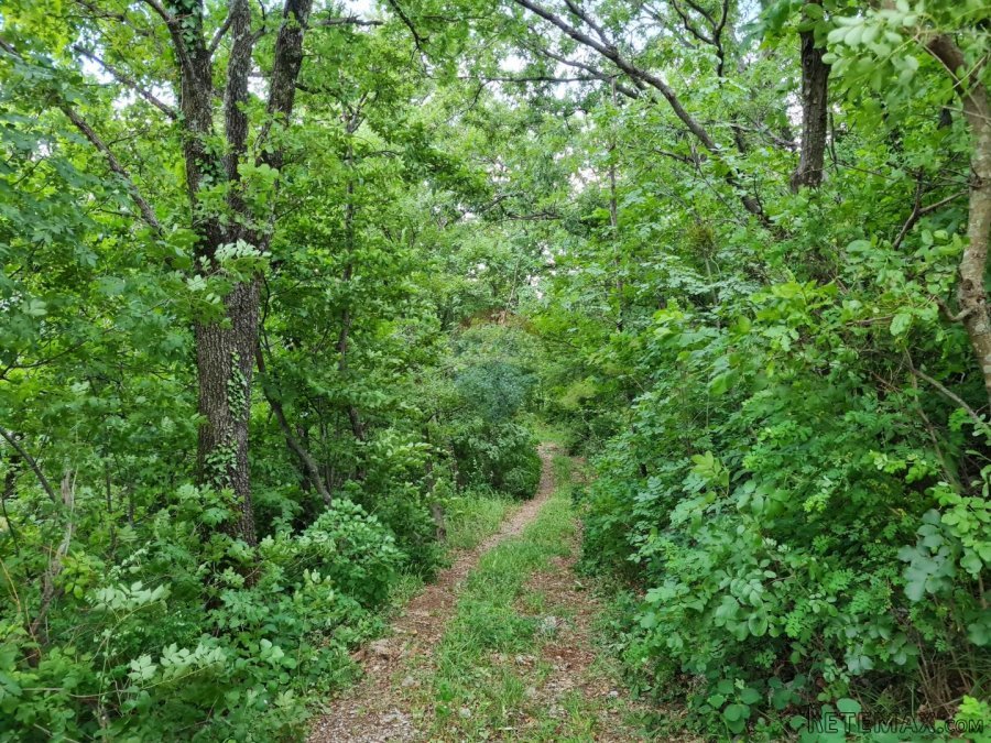 Brseč-zemljište uz more s pogledom na Cres - 4