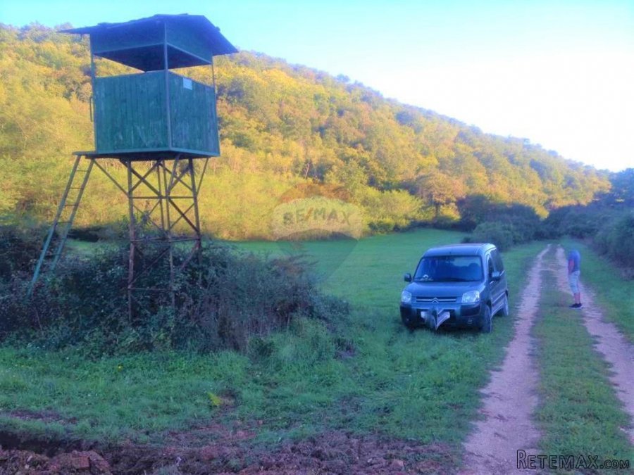 Kanfanar,Vidulini-lijepo poljoprivredno zemljište-13270m2 - 4