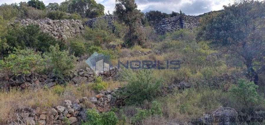 Vis, zemljište 22.232m2 s ruš. kućom 76m2 i pogledom na more - 4