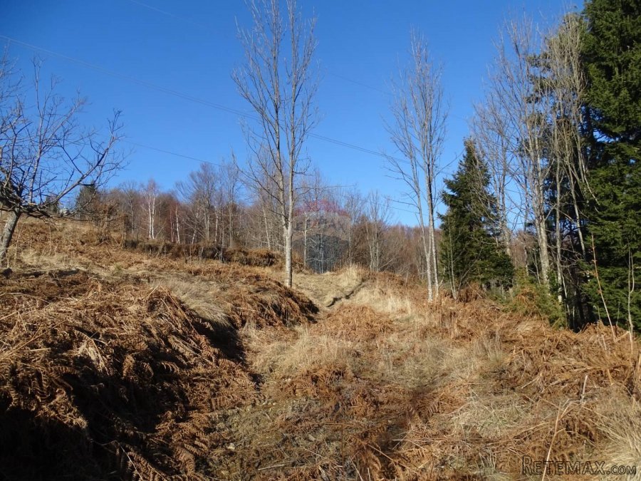 Ravna Gora-teren - 7