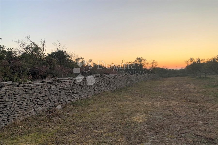 BALE – maslinik i šuma 3 km od mora - 8
