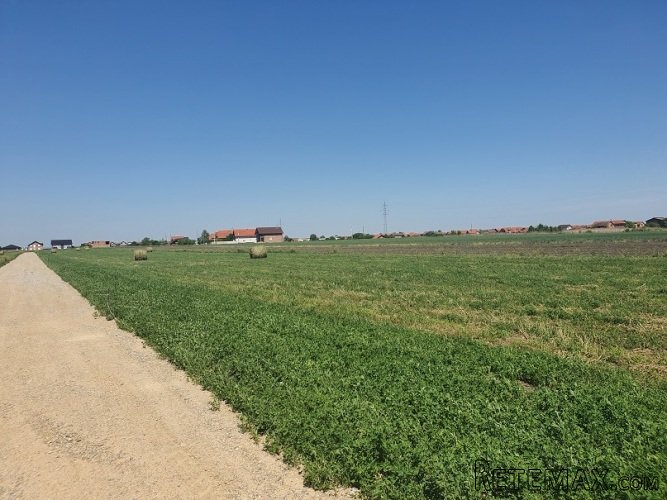 Batajnica/Busije zemljiste na prodaju