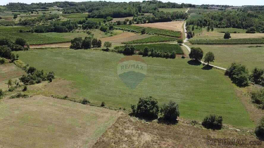 Istra, Vižinada, negrađevinsko zemljište 11 290 m2