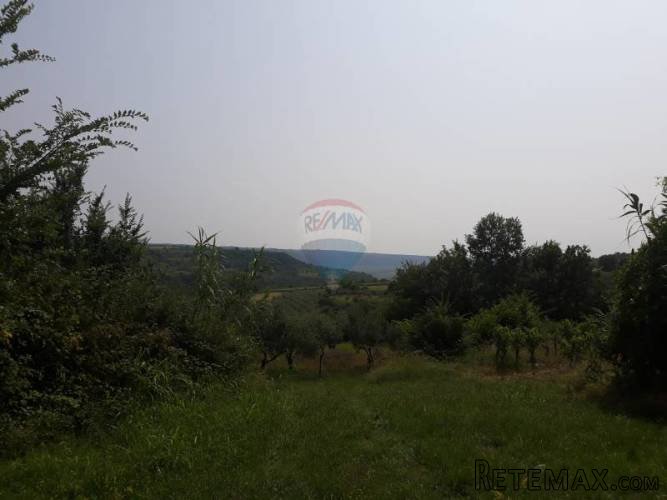 Istra, Krasica, Brajki atraktivno zemljište