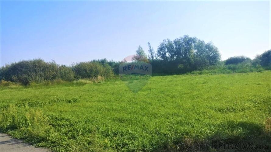 Istra,Buje okolica-Veliko negrađevinsko zemljište