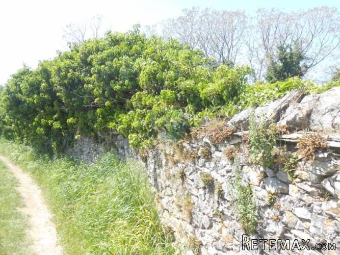 Istra, Krnica, građevinsko zemljište sa ruševinom i... - 3