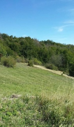 Plac ispod Cigote-Zlatibor - 3