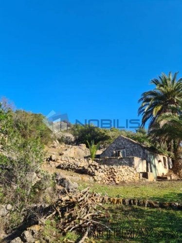 Vis, stara kamena kuća 40 m2 sa zemljištem 9.000 m2 - 3