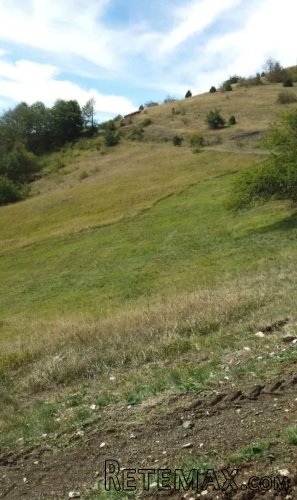 Plac ispod Cigote-Zlatibor - 4