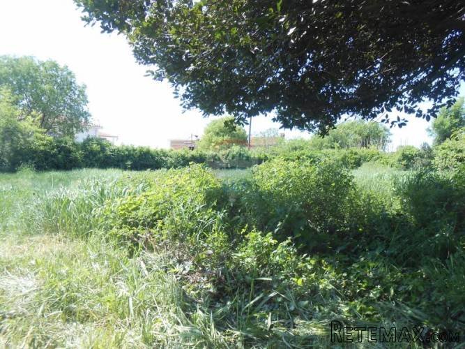 Istra, Krnica, građevinsko zemljište sa ruševinom i... - 5
