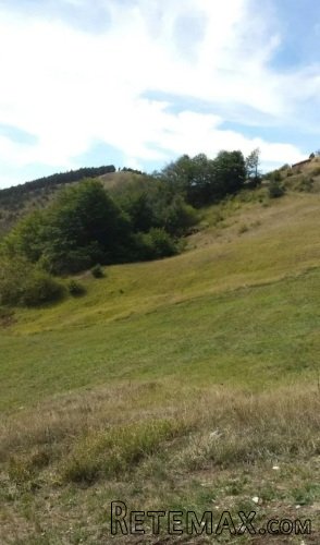 Plac ispod Cigote-Zlatibor - 5