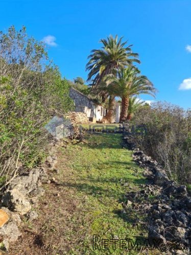 Vis, stara kamena kuća 40 m2 sa zemljištem 9.000 m2 - 5
