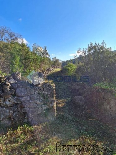 Vis, stara kamena kuća 40 m2 sa zemljištem 9.000 m2 - 6