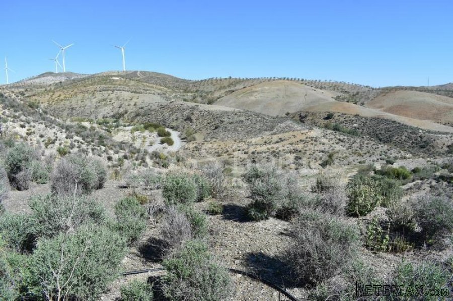EXCLUSIVE LISTING - Large, 250m2 "OFF GRID", full of.. - 8