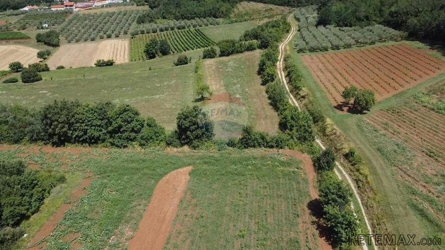 Istra, Vižinada, poljoprivredno zemljište 19 280 m2