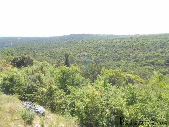 Istra, Krnica, šuma na prelijepoj poziciji sa pogledom na... - 3