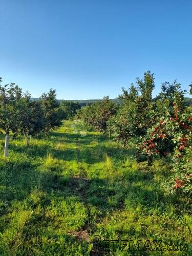 KUTJEVO - PREKRASAN VOČNJAK SAMO U NAŠOJ PONUDI